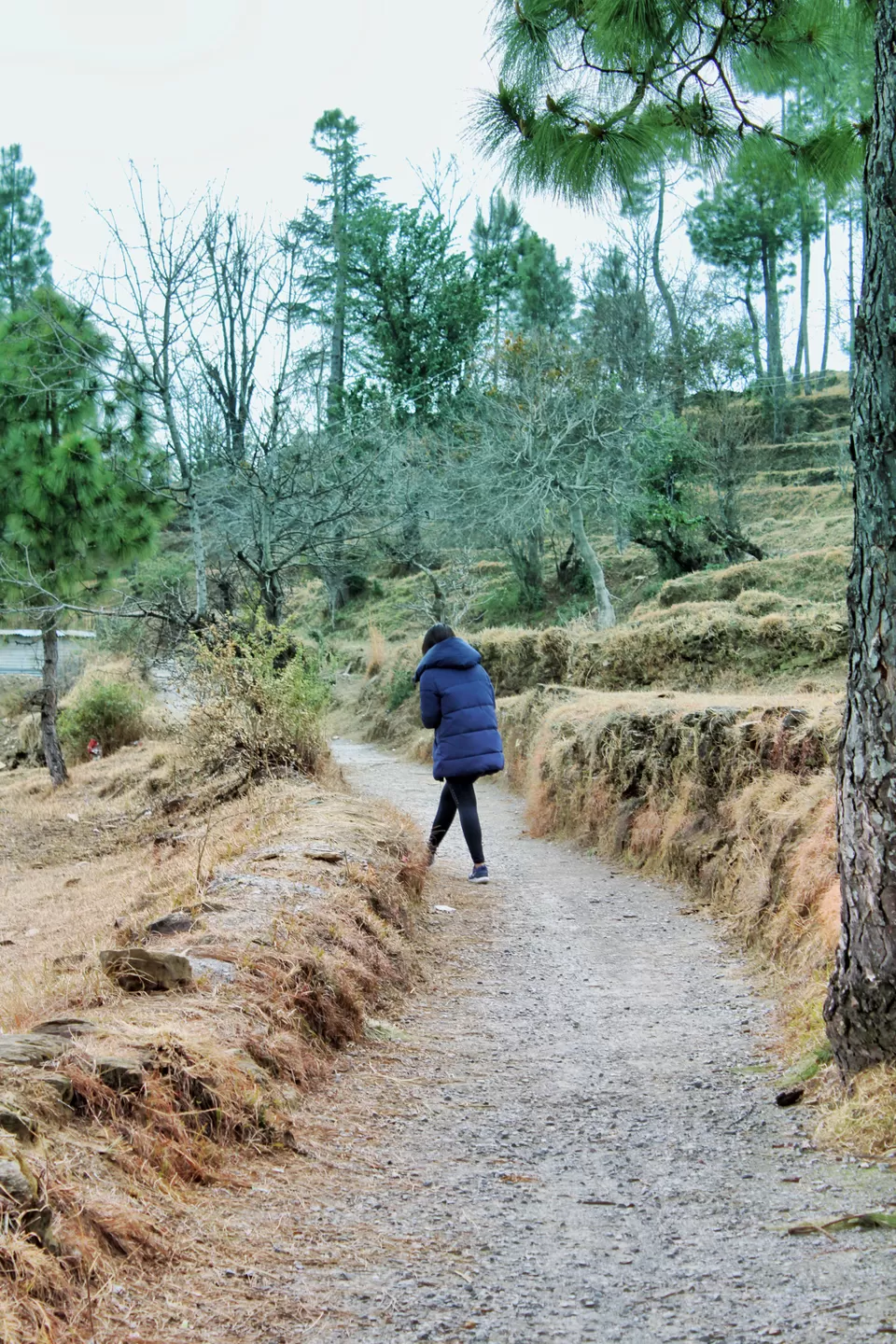 Photo of The Kumaon, Almora, Uttarakhand, India by Megha Dhingra