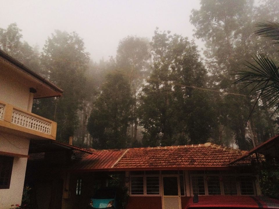 Photo of Travel to please your sense - Coorg 2/6 by Shweta gupta