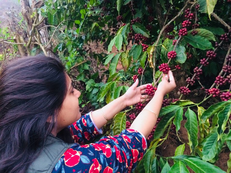 Photo of Travel to please your sense - Coorg 5/6 by Shweta gupta