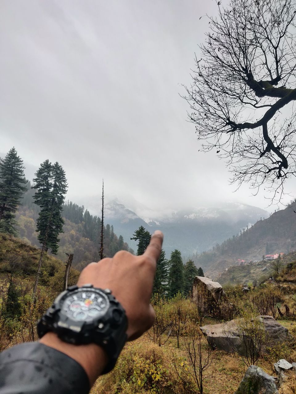 Photo of Kutla, Himachal Pradesh, India by chinmay sharma