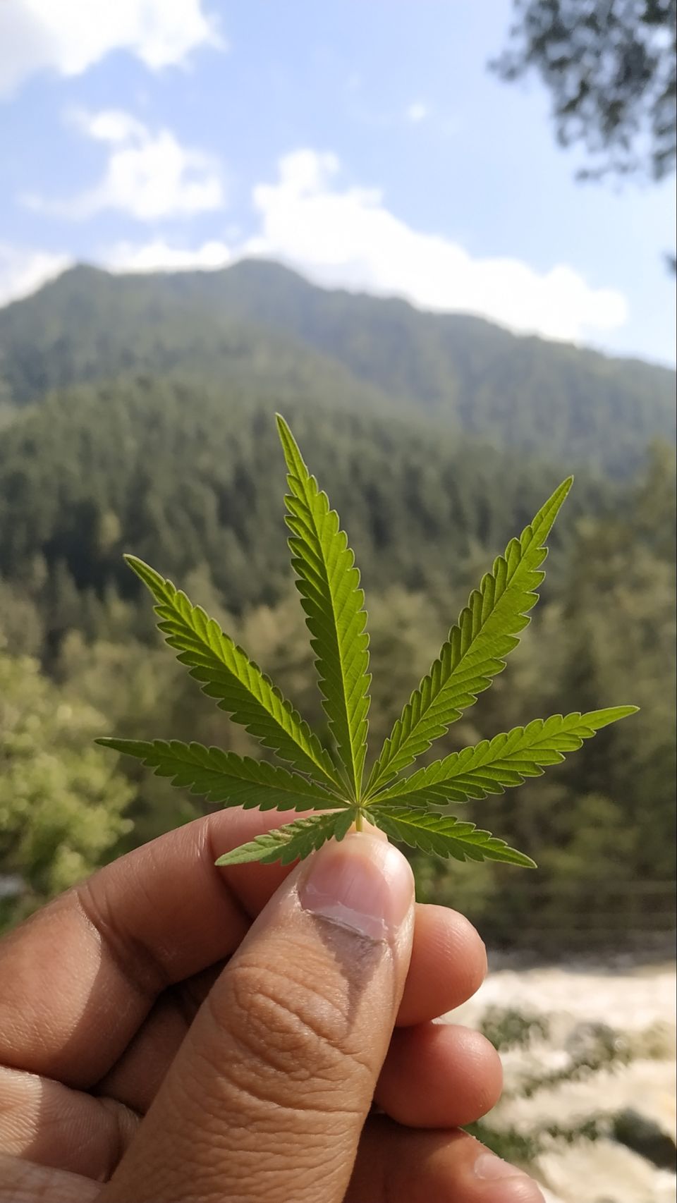 Photo of Kasol, Himachal Pradesh, India by chinmay sharma