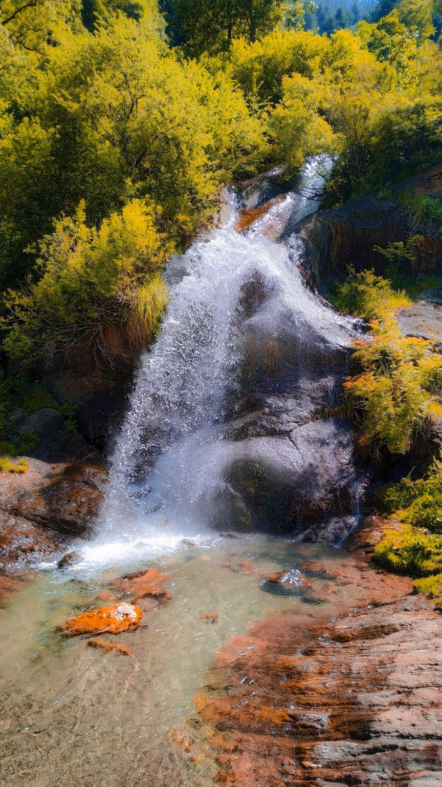 Photo of Kheer Ganga Trek, Khir Ganga, Himachal Pradesh, India by chinmay sharma