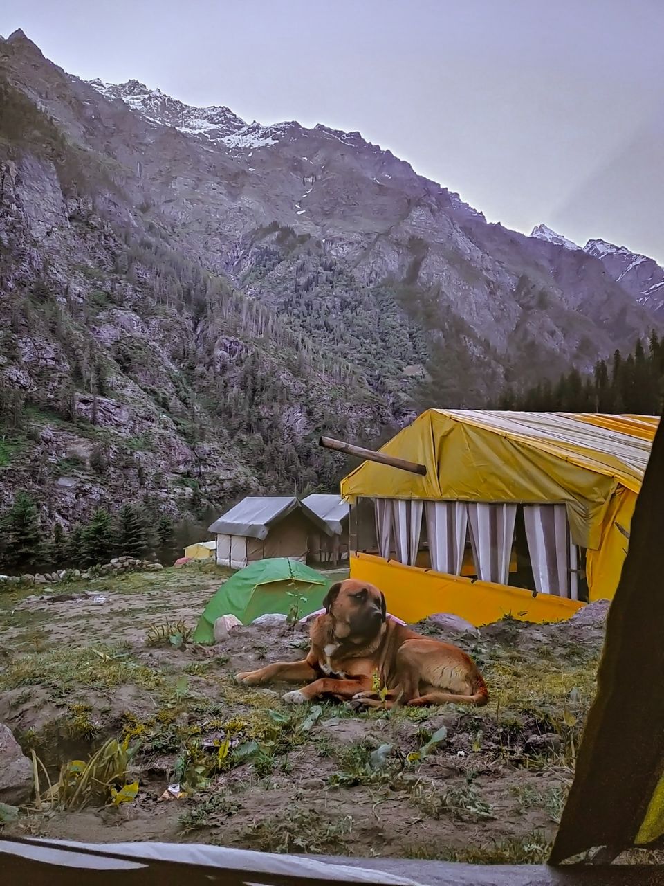 Photo of Kheer Ganga Trek, Khir Ganga, Himachal Pradesh, India by chinmay sharma