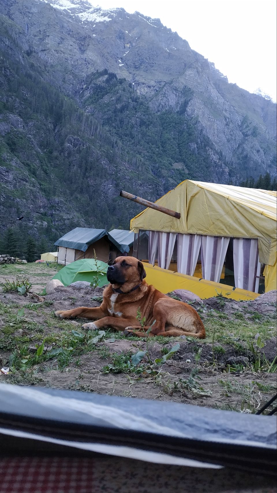 Photo of Kheer Ganga Trek, Khir Ganga, Himachal Pradesh, India by chinmay sharma