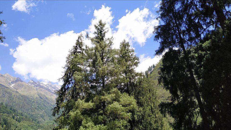 Photo of Kheer Ganga Trek, Khir Ganga, Himachal Pradesh, India by chinmay sharma