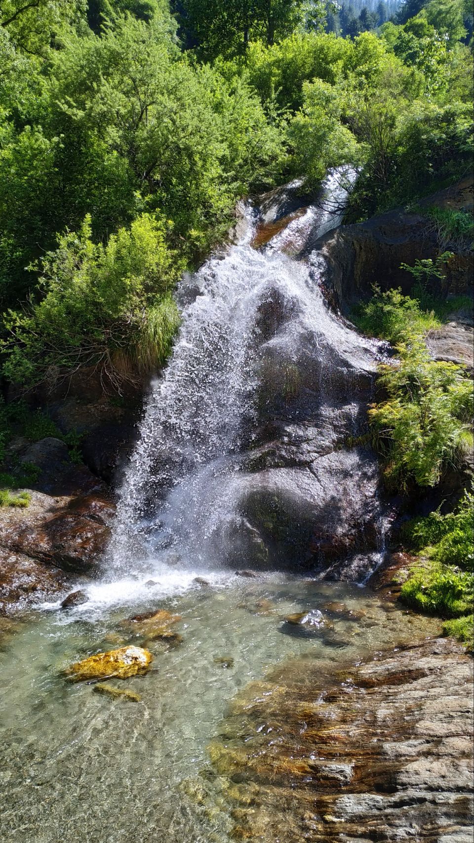 Photo of Kheer Ganga Trek, Khir Ganga, Himachal Pradesh, India by chinmay sharma