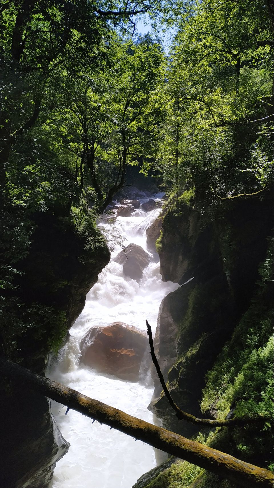 Photo of Kheer Ganga Trek, Khir Ganga, Himachal Pradesh, India by chinmay sharma