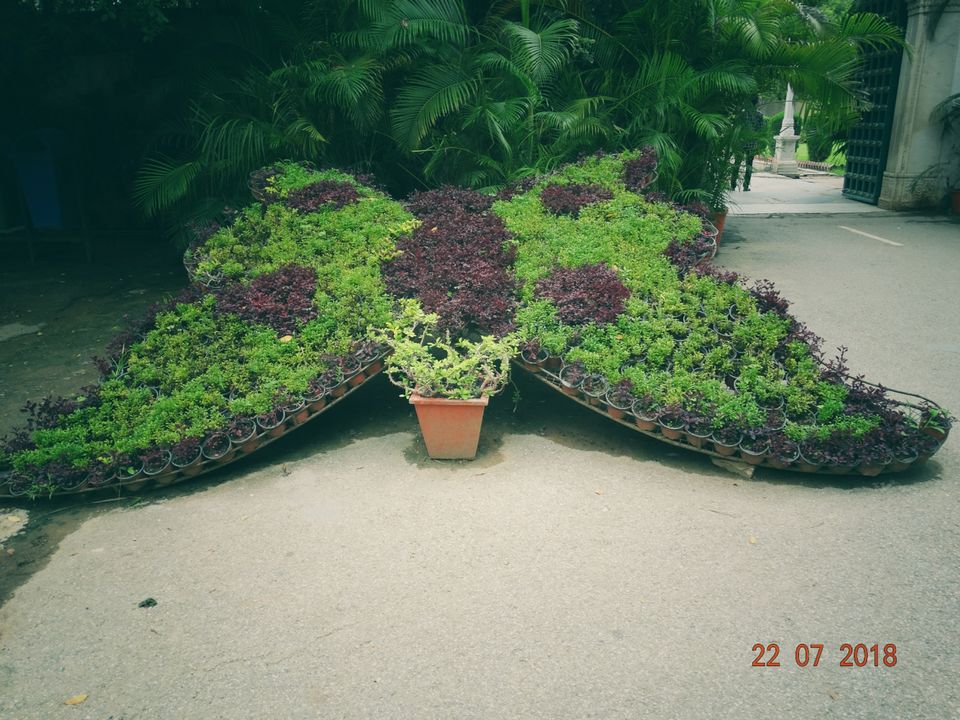 Photo of Udaipur, Rajasthan, India by Priya Sharma