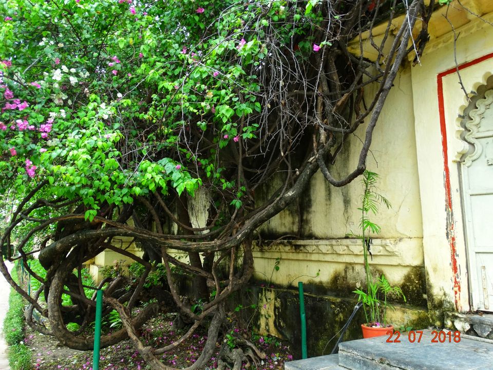 Photo of Udaipur, Rajasthan, India by Priya Sharma