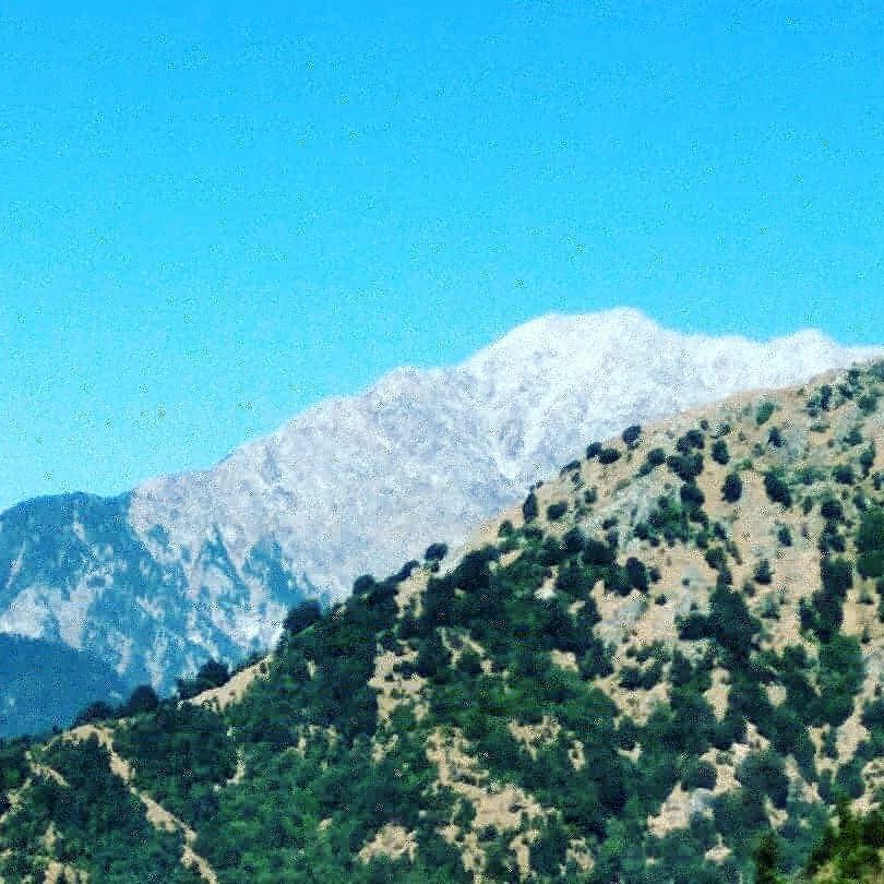 Photo of His Holiness Dalai Lama Main Temple, Temple Road, McLeod Ganj, Dharamshala, Himachal Pradesh, India by Priya Sharma
