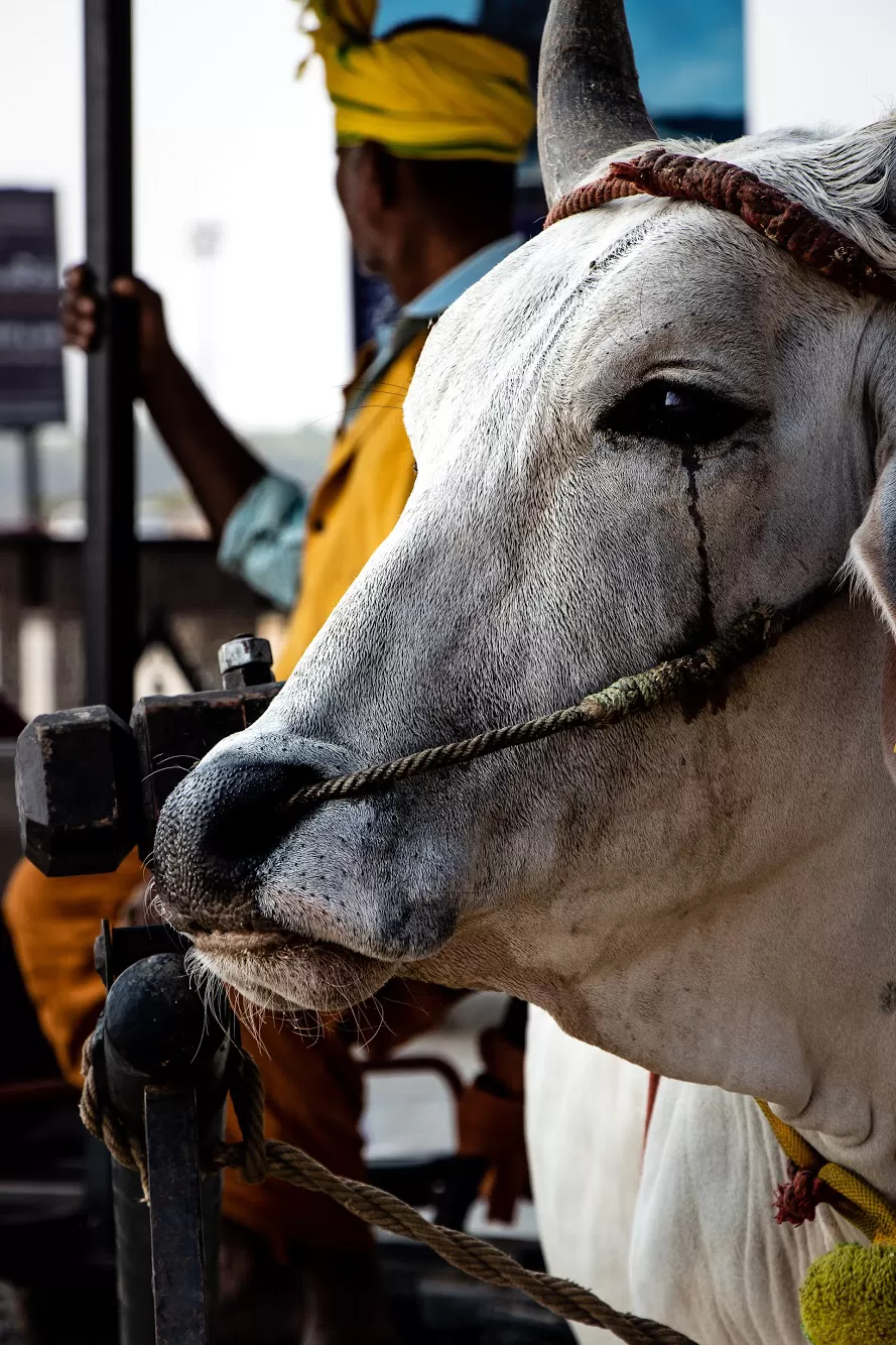 Photo of Isha Yoga Center, Coimbatore, Tamil Nadu, India by Tamil Pari