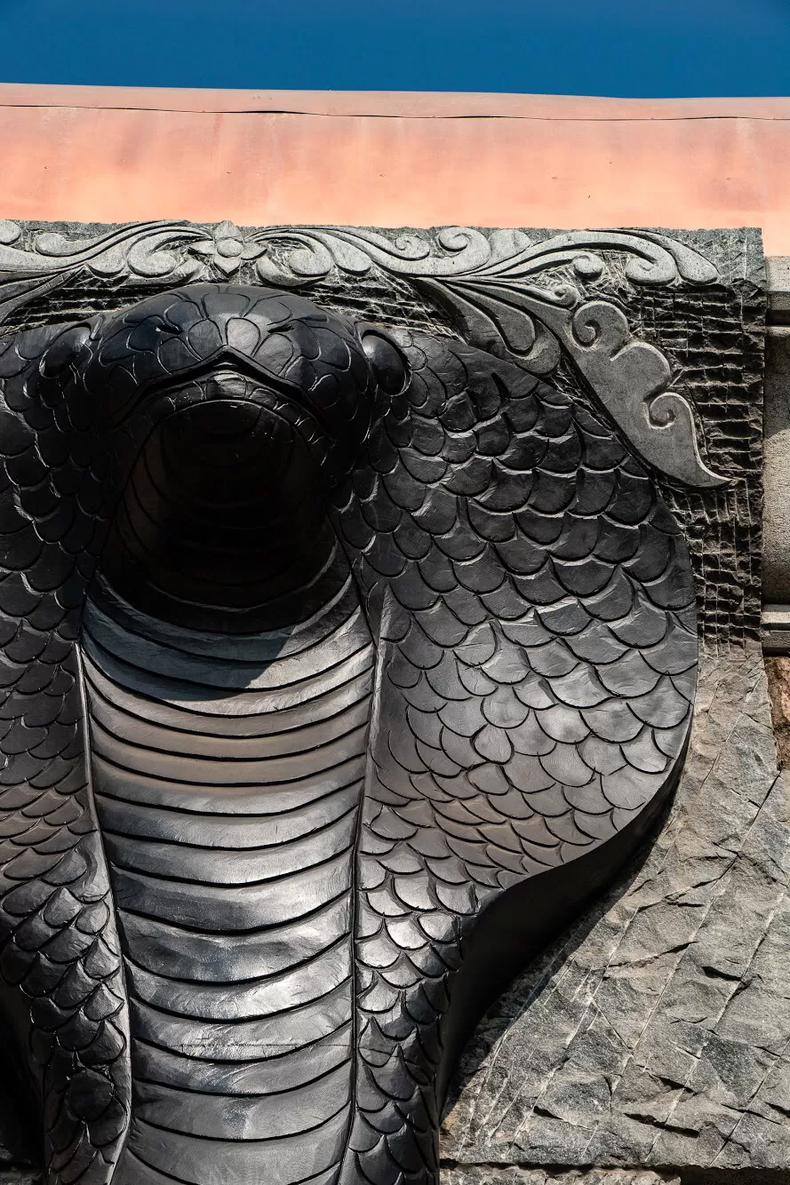 Photo of Isha Yoga Center, Coimbatore, Tamil Nadu, India by Tamil Pari