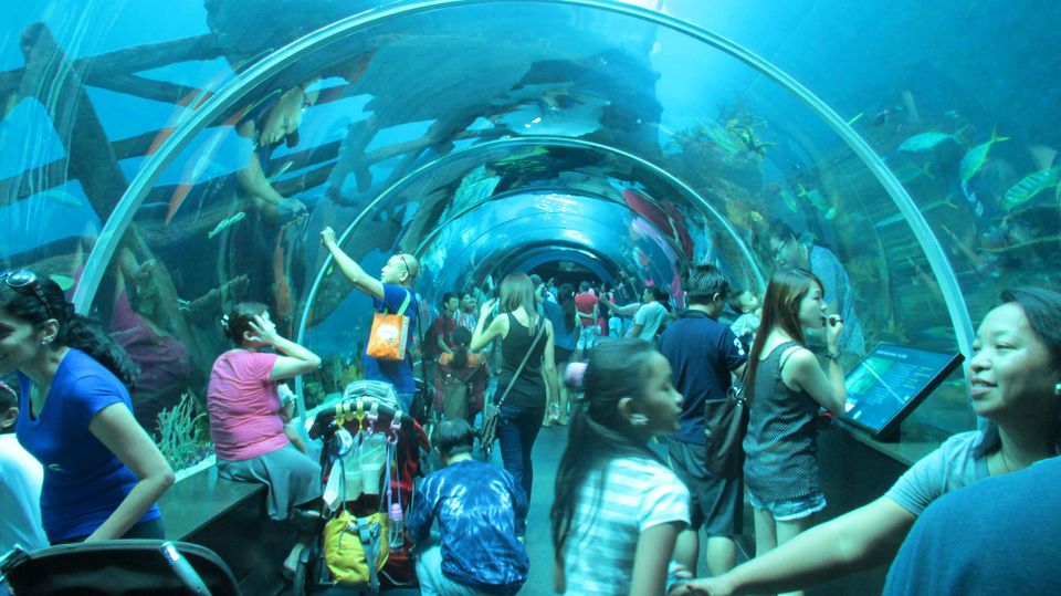 Photo of S.E.A. Aquarium & Adventure Cove Waterpark Sentosa Gateway Singapore by ashishjain