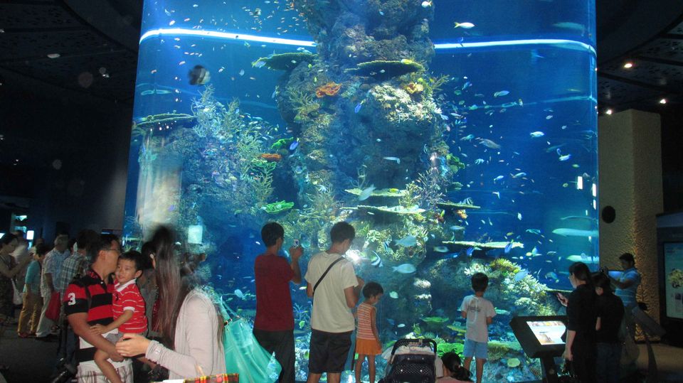 Photo of S.E.A. Aquarium & Adventure Cove Waterpark Sentosa Gateway Singapore by ashishjain