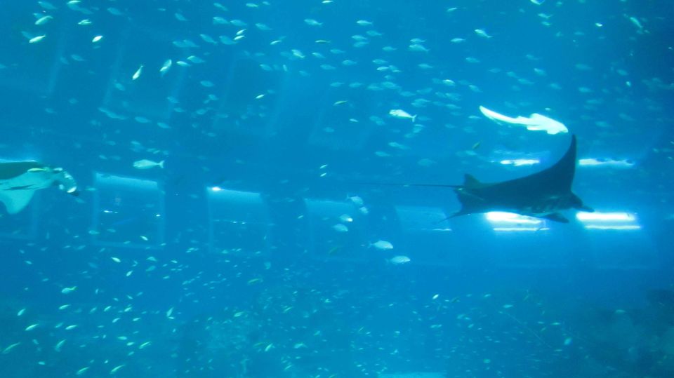 Photo of S.E.A. Aquarium & Adventure Cove Waterpark Sentosa Gateway Singapore by ashishjain