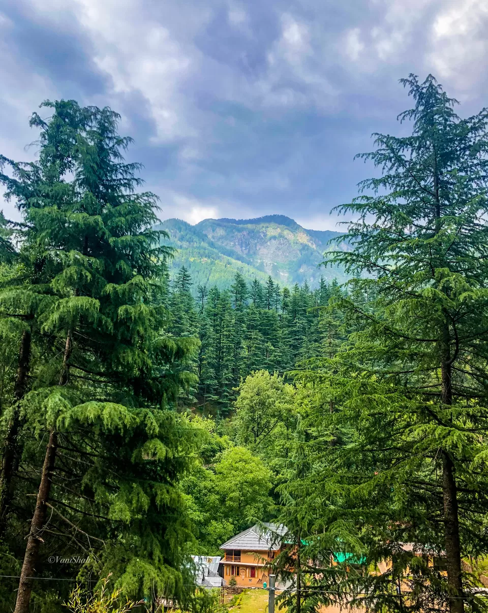 Photo of Jibhi, Himachal Pradesh, India by Vani Shah