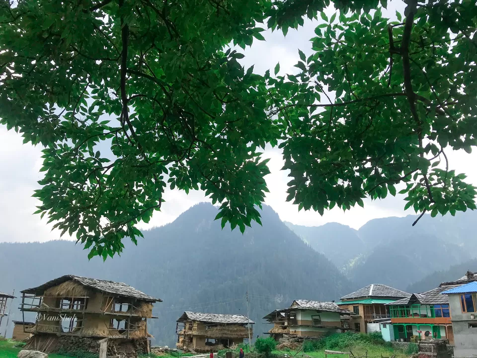 Photo of Sharchi, Himachal Pradesh, India by Vani Shah