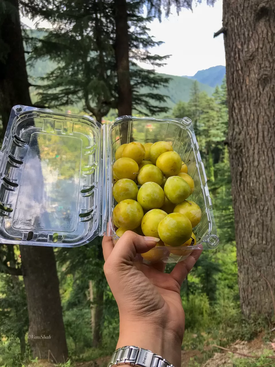 Photo of Jibhi, Himachal Pradesh, India by Vani Shah