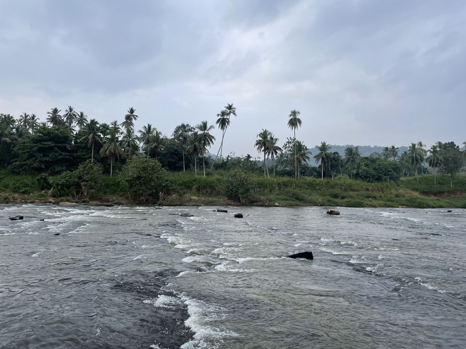 Photo of Elephant Orphanage, B199, Rambukkana, Sri Lanka by Nishant Shende