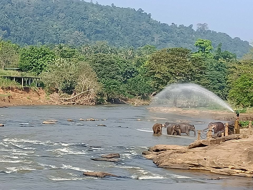 Photo of Elephant Orphanage, B199, Rambukkana, Sri Lanka by Nishant Shende