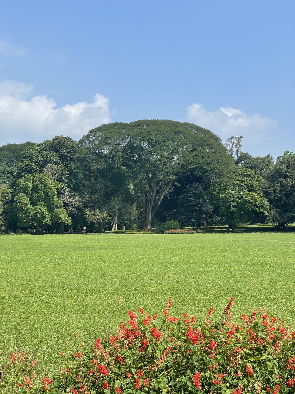 Photo of Sri Lanka - The Island Country by Nishant Shende