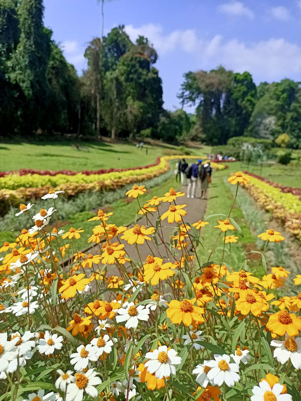 Photo of Sri Lanka - The Island Country by Nishant Shende