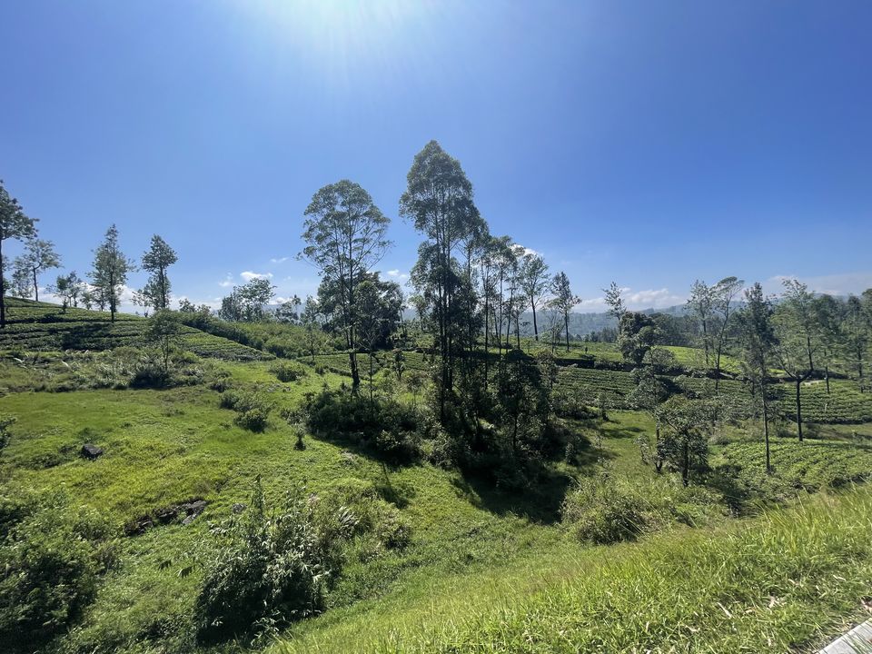 Photo of Sri Lanka - The Island Country by Nishant Shende