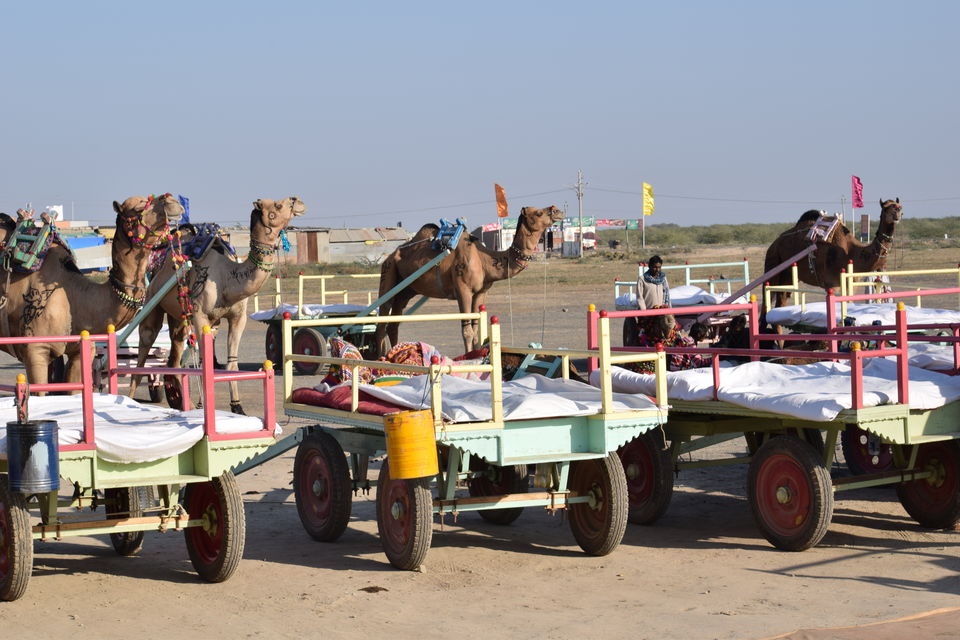 Photo of Guide to beautiful Rann Utsav in kutchh 2/3 by Rahul chaganti