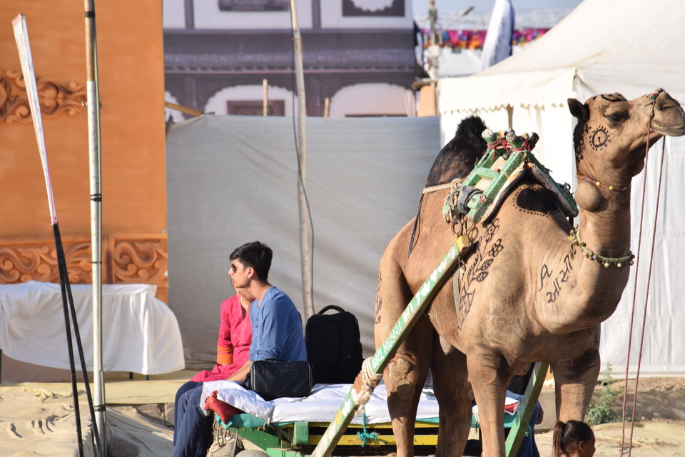 Photo of Guide to beautiful Rann Utsav in kutchh 3/3 by Rahul chaganti
