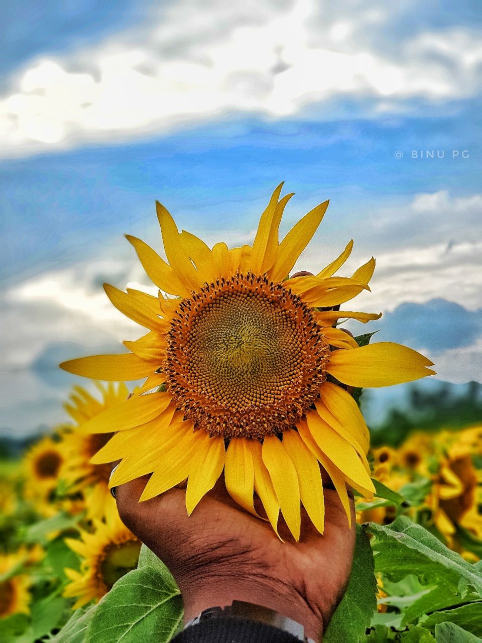 Photo of Amazing Trip by Binu Ñeèlàkàndàn