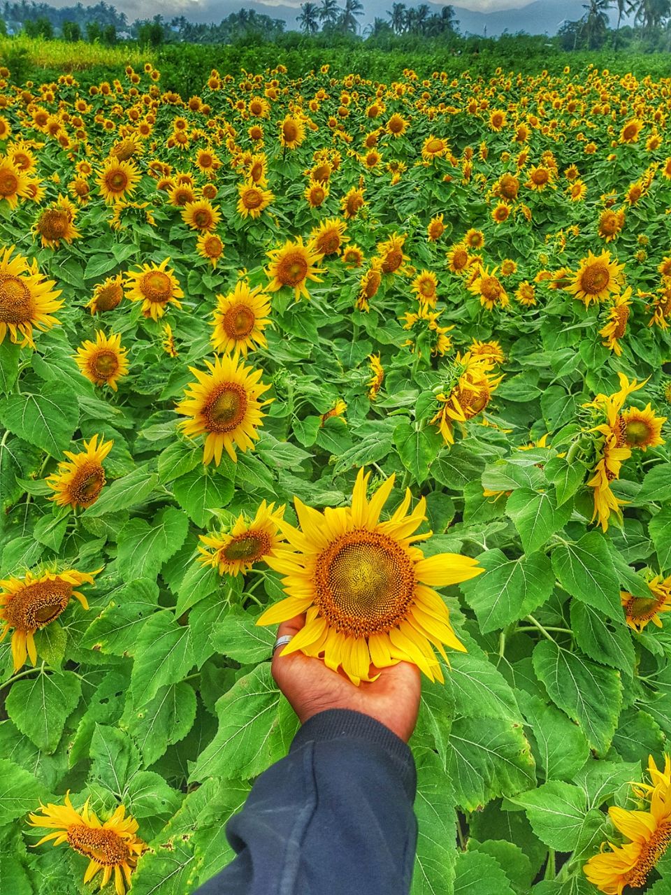 Photo of Amazing Trip by Binu Ñeèlàkàndàn