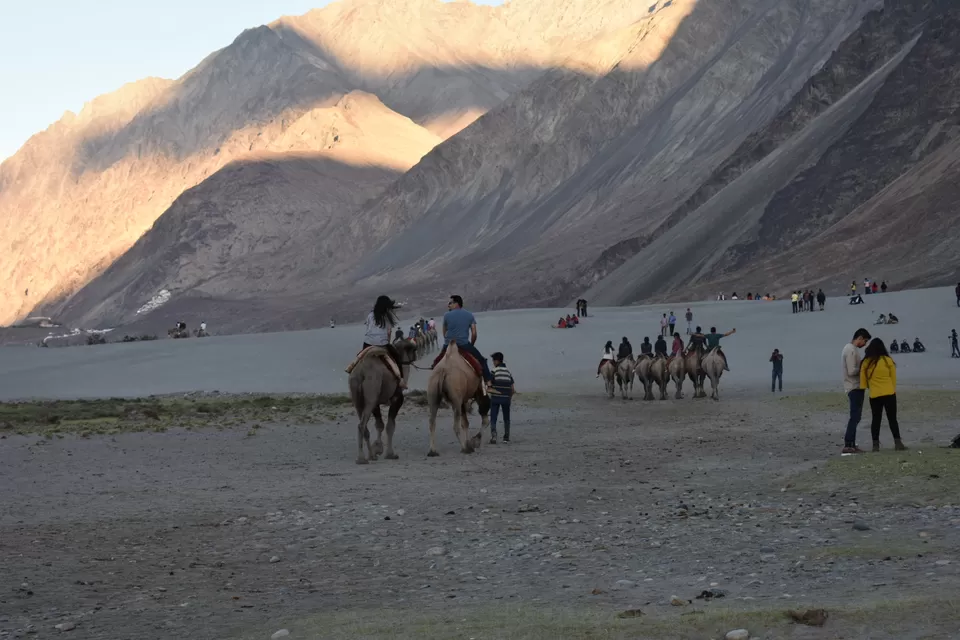 Photo of Nubra Valley, Hunder by Sapna Dhiman