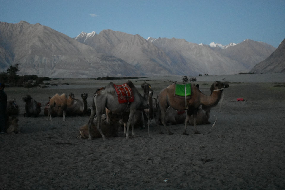 Photo of Nubra Valley, Hunder by Sapna Dhiman
