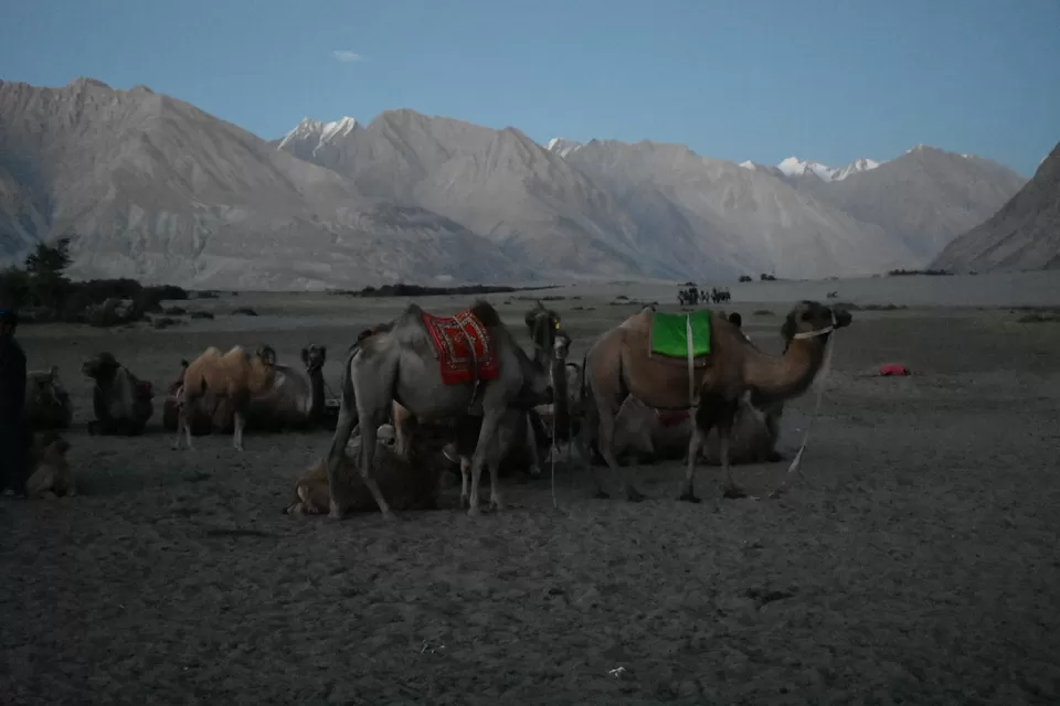 Photo of Nubra Valley, Hunder by Sapna Dhiman
