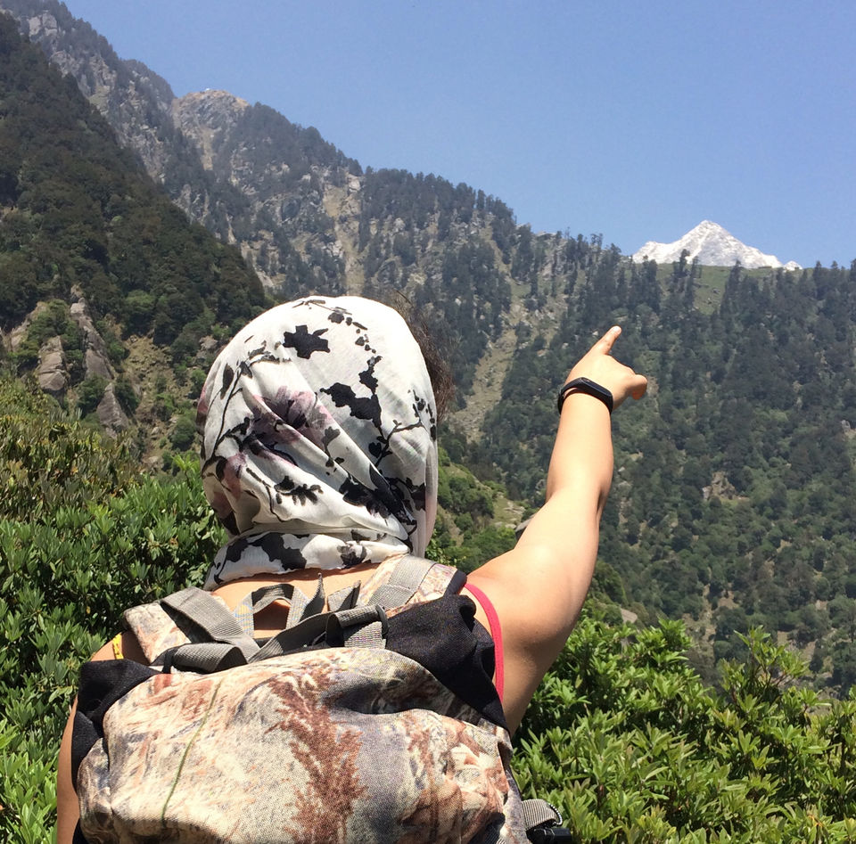 Photo of Triund, Himachal Pradesh by Sapna Dhiman