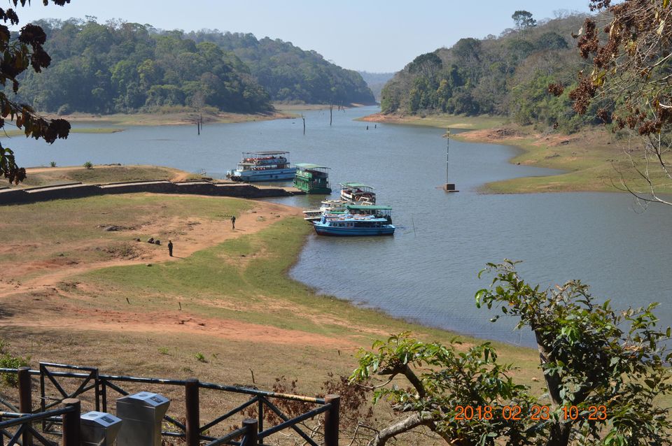 Photo of Thekkady, Kerala, India by Sapna Dhiman