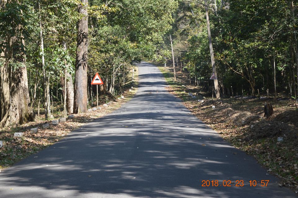 Photo of Thekkady, Kerala, India by Sapna Dhiman