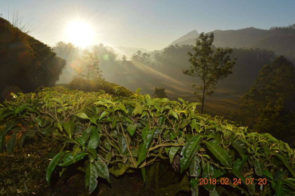 Photo of Munnar, Kerala, India by Sapna Dhiman