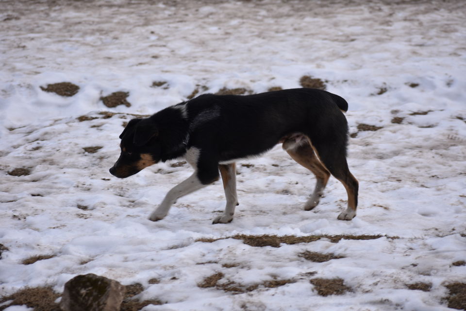 Photo of This is how I celebrated my new year: A dangerous ride with crazy friends. #trekkinginwinter by Sapna Dhiman