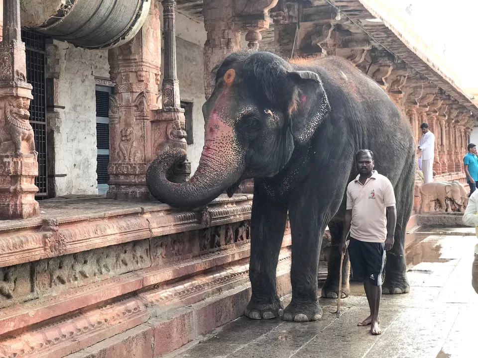 Photo of A Trip Full Of Hampiness #tripotocommunity by Mukesh Ramagoni