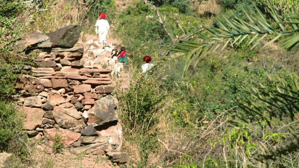 Photo of An Affair With Rajasthan 13/17 by Samcha