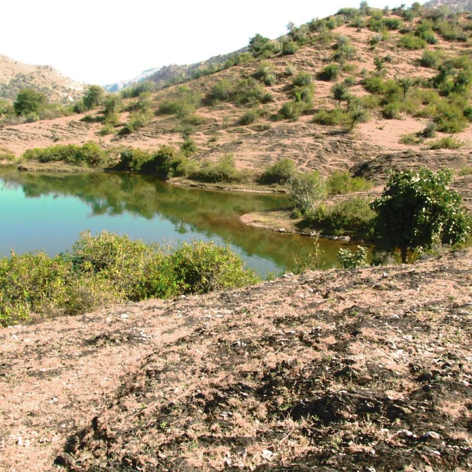 Photo of An Affair With Rajasthan 14/17 by Samcha