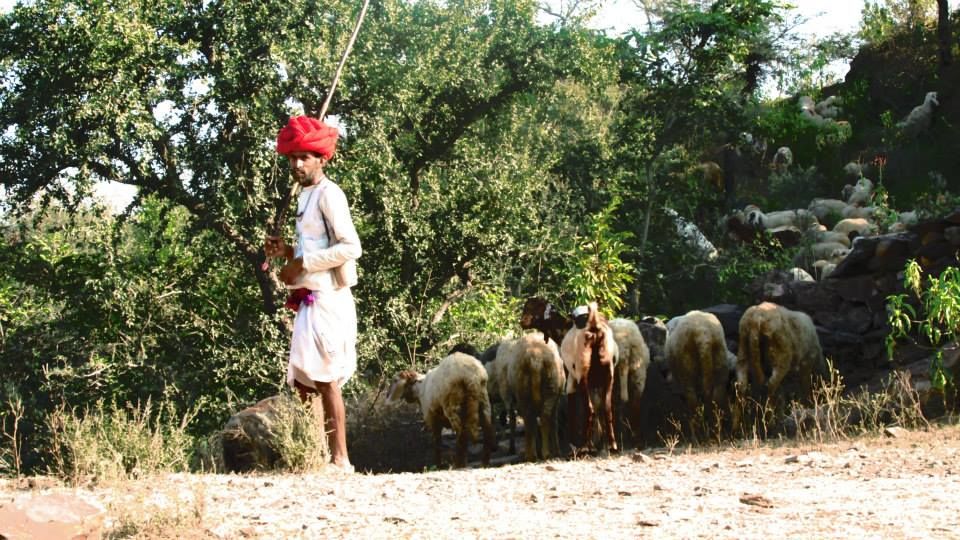 Photo of An Affair With Rajasthan 2/17 by Samcha