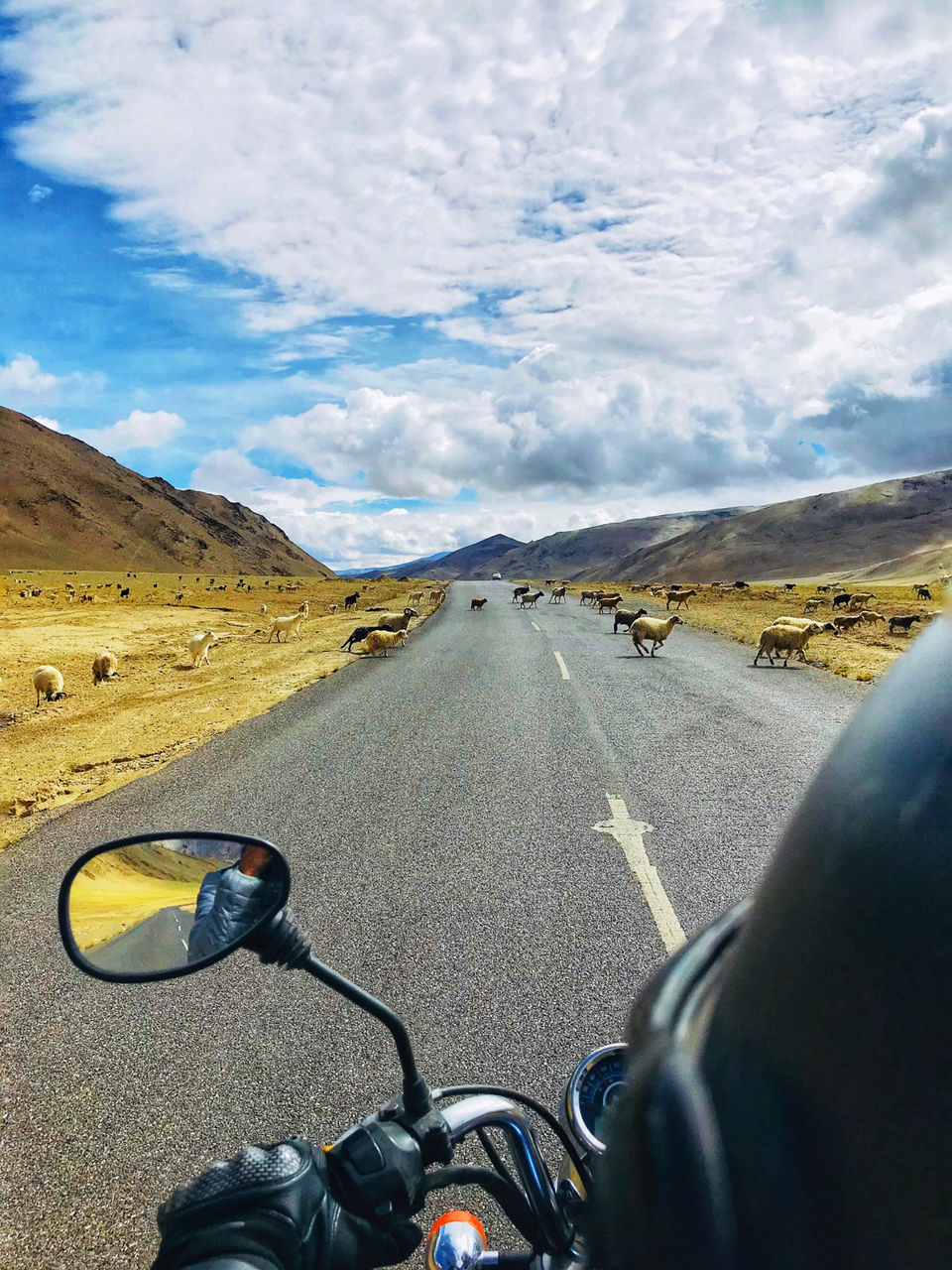 Photo of To the days on road. by isha hyanki