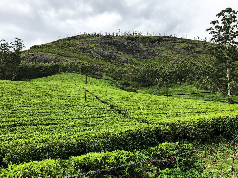 Photo of KERALA- a picturesque destination; Experience the heaven on Earth! #southindiaitinerary by Sree Madhavi