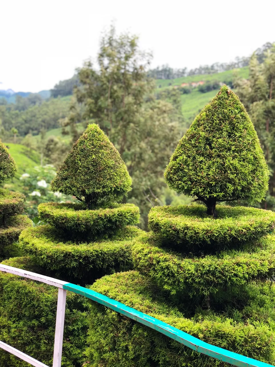 Photo of KERALA- a picturesque destination; Experience the heaven on Earth! #southindiaitinerary by Sree Madhavi