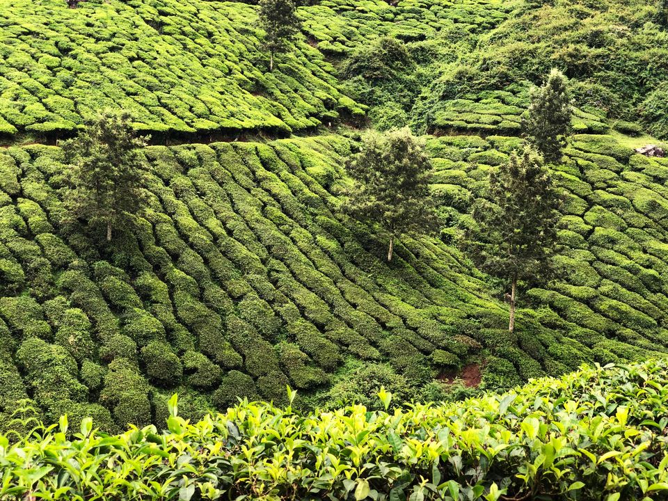 Photo of KERALA- a picturesque destination; Experience the heaven on Earth! #southindiaitinerary by Sree Madhavi