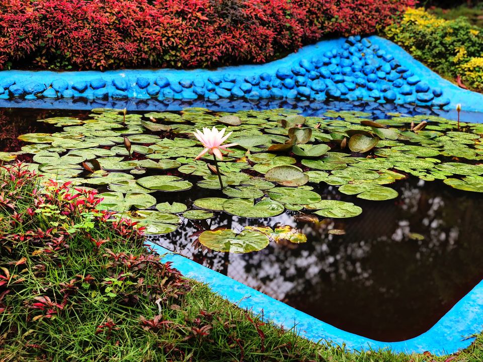 Photo of KERALA- a picturesque destination; Experience the heaven on Earth! #southindiaitinerary by Sree Madhavi