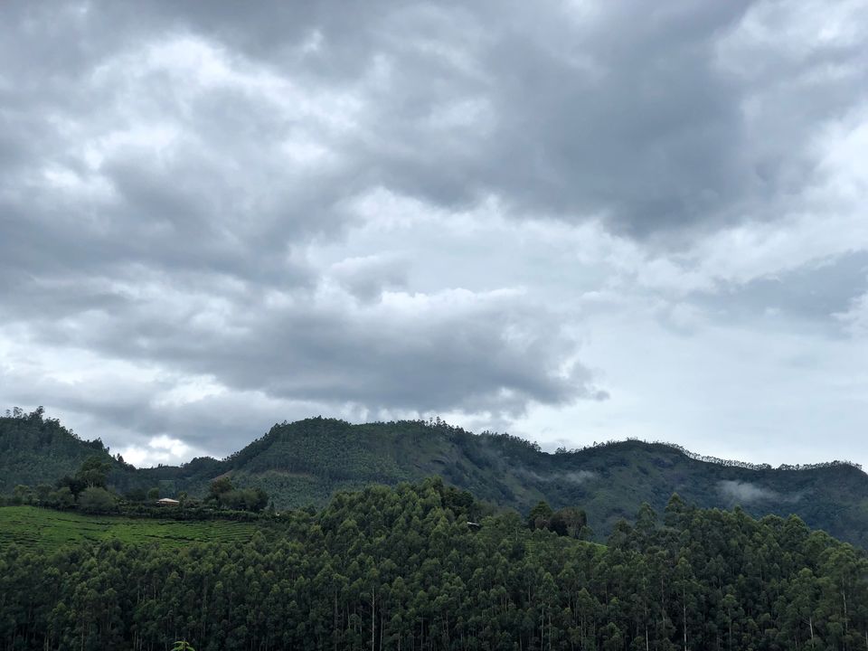 Photo of KERALA- a picturesque destination; Experience the heaven on Earth! #southindiaitinerary by Sree Madhavi