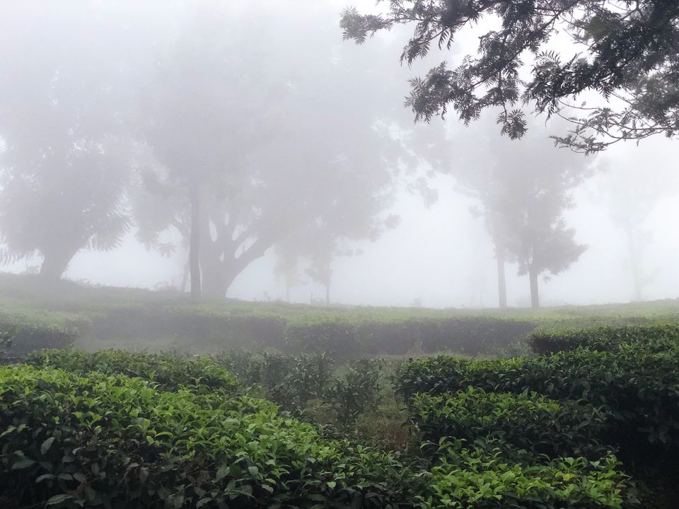 Photo of KERALA- a picturesque destination; Experience the heaven on Earth! #southindiaitinerary by Sree Madhavi